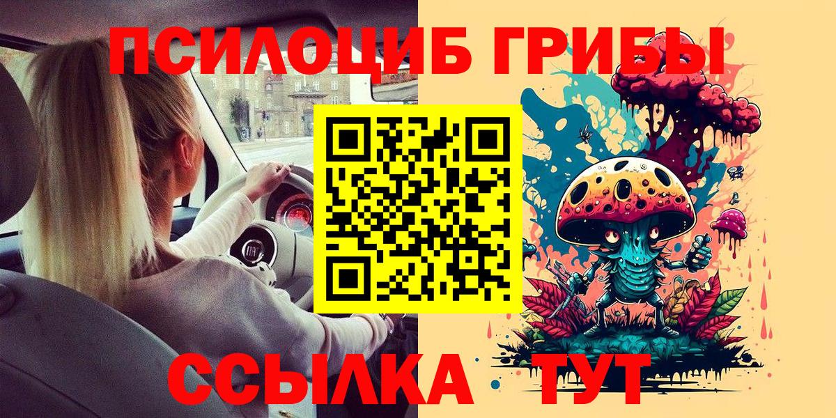 Псилоцибиновые грибы Cubensis Кировск