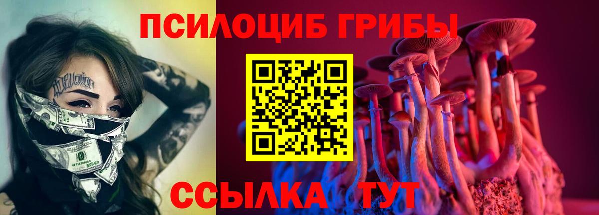 Кировск  Галлюциногенные грибы Psilocybe  Вход с VPN 